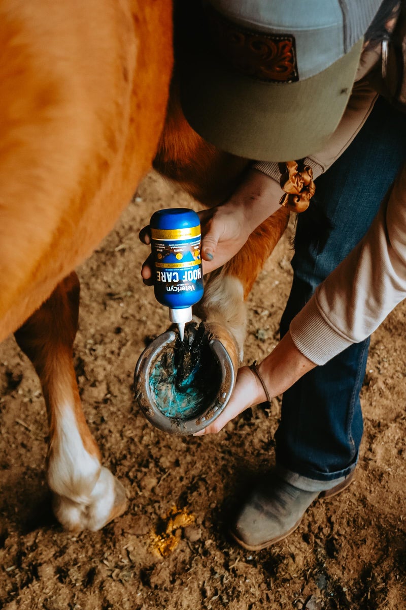 Vetericyn Mobility Equine Hoof Care for Sole and Frog Damage Caused by Thrush, White Line Separation, and Seedy Toe. 8 Ounces - Image 2